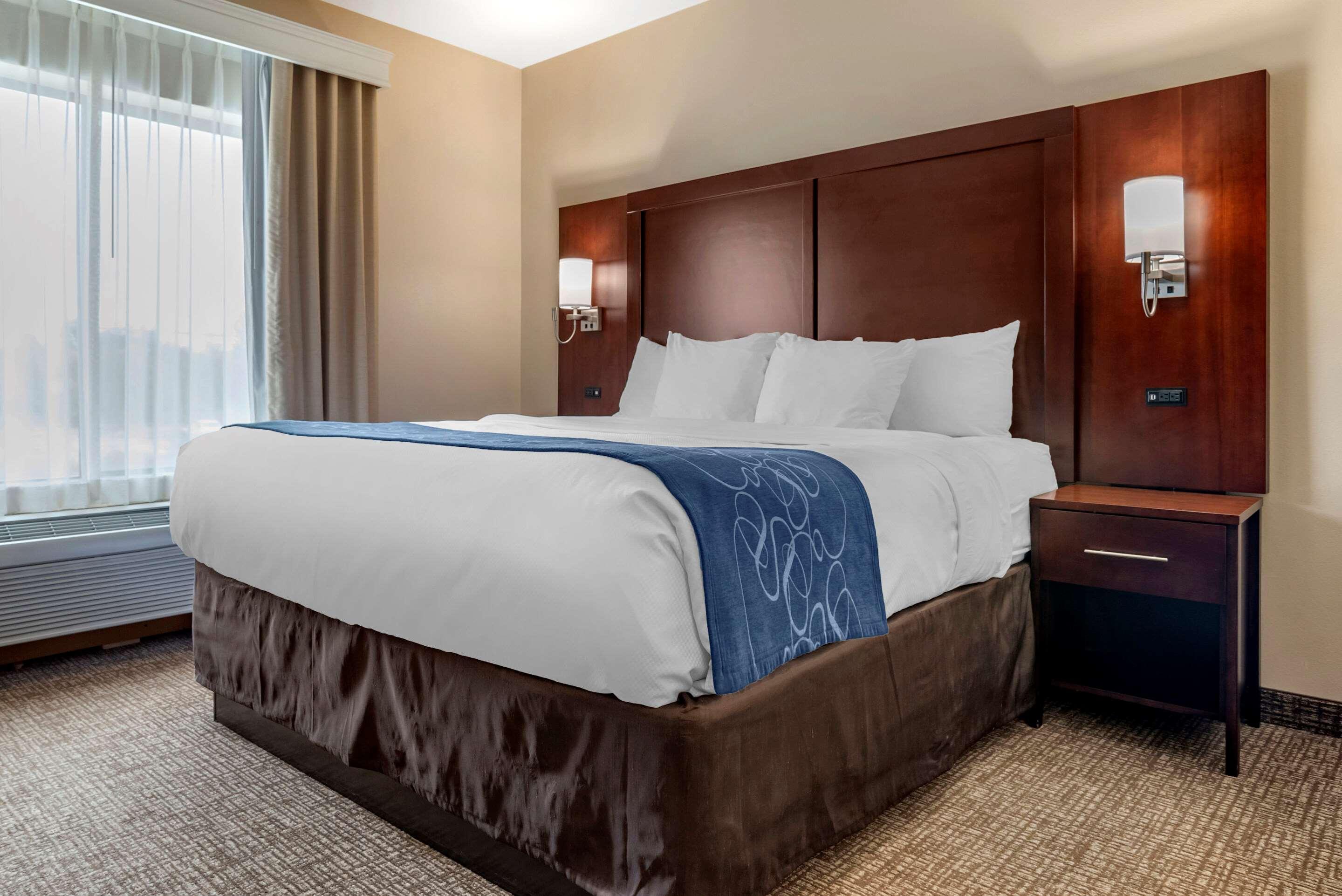 Comfort Suites Pell City I-20 Exit 158 Buitenkant foto