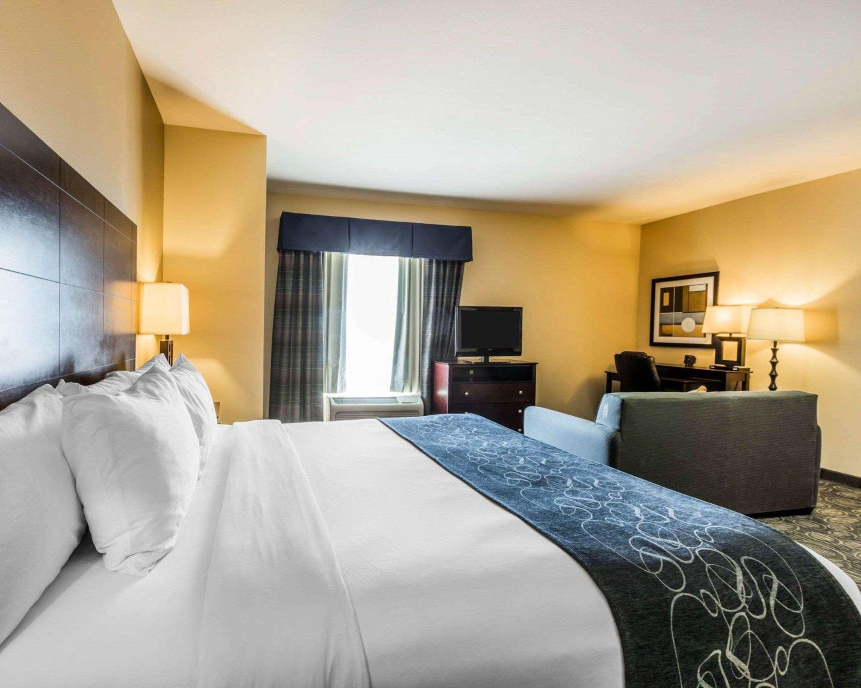 Comfort Suites Pell City I-20 Exit 158 Buitenkant foto