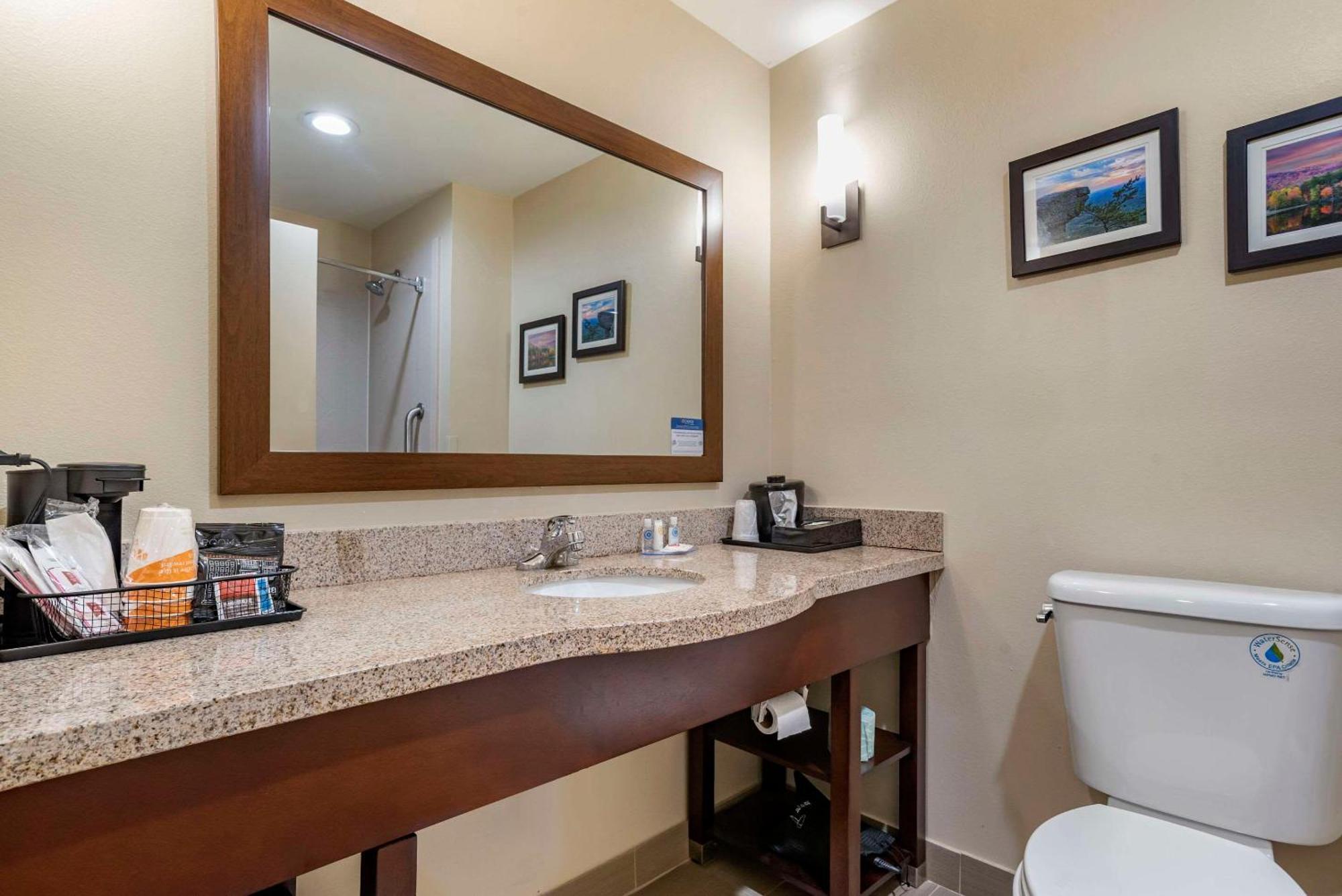 Comfort Suites Pell City I-20 Exit 158 Buitenkant foto