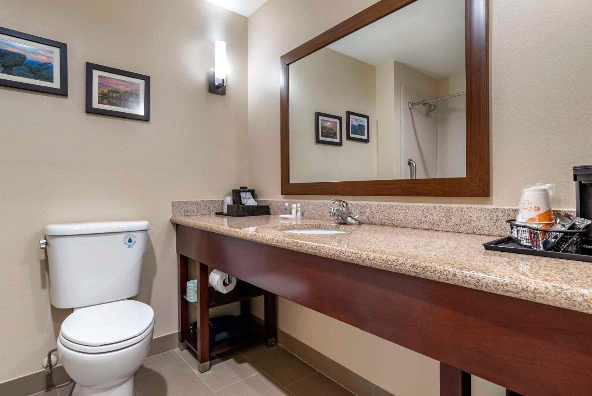 Comfort Suites Pell City I-20 Exit 158 Buitenkant foto