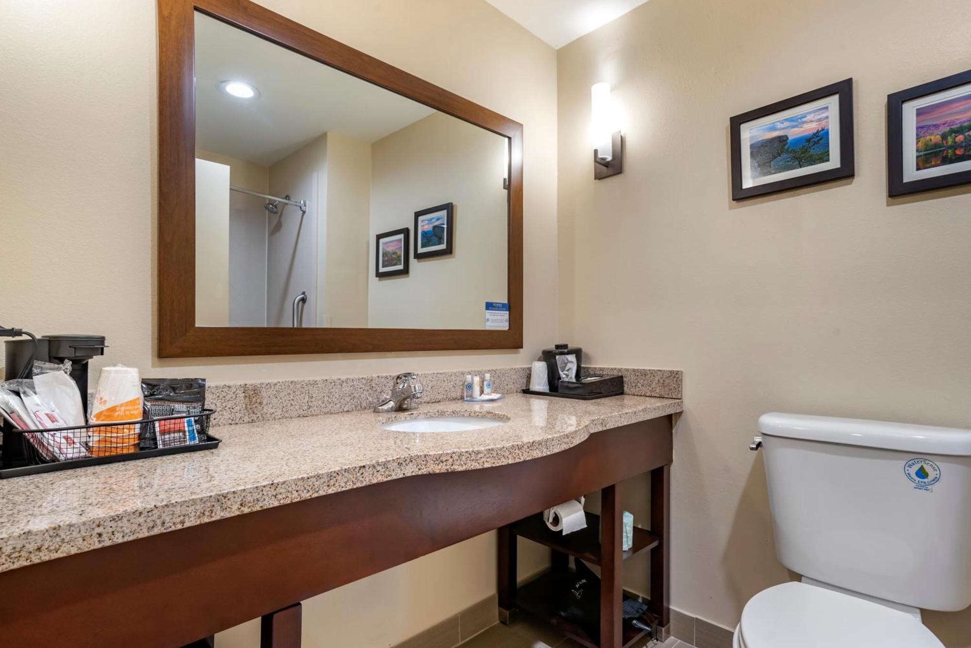 Comfort Suites Pell City I-20 Exit 158 Buitenkant foto